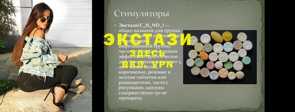 дживик Краснослободск