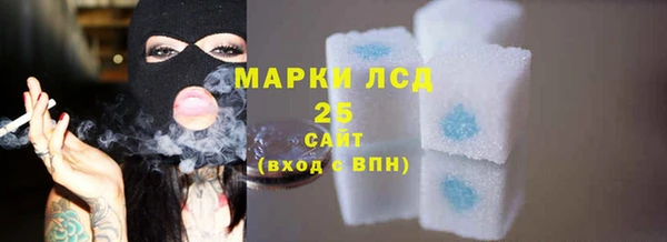 дживик Краснослободск