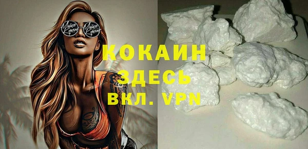 дживик Краснослободск