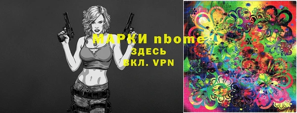 дживик Краснослободск