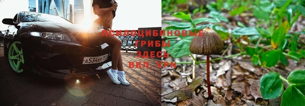дживик Краснослободск